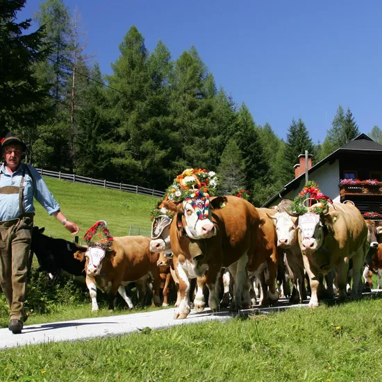 Almabtrieb_in_Bad_Kleinkirchheim__c__Almabtriebsgemeinschaft_Wolitzenalm_BKK.jpg